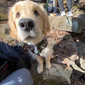 Meet your Posher, Mark